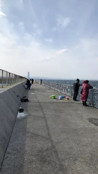 大阪府[貝塚人工島]の釣り場PHOTO
